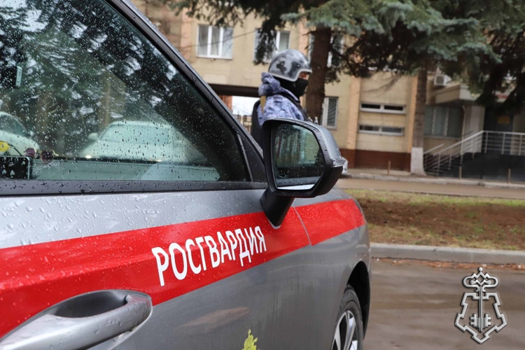 Тульские росгвардейцы за неделю пресекли 45 административных правонарушений