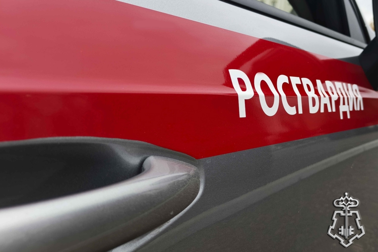 Росгвардейцы за неделю пресекли около 60 административных правонарушений в Туле