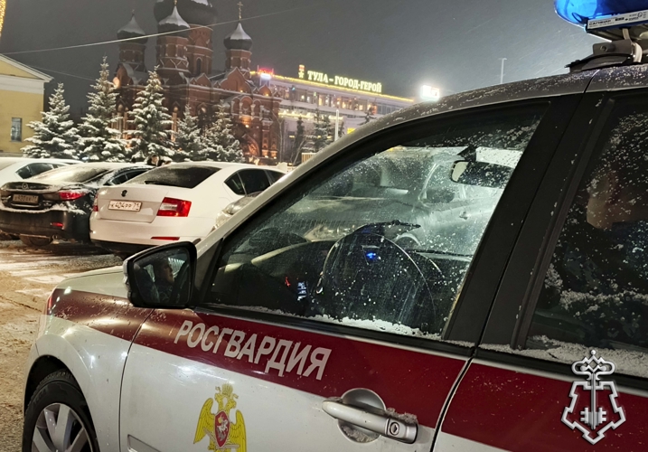 Тульские росгвардейцы за неделю пресекли 47 административных правонарушений