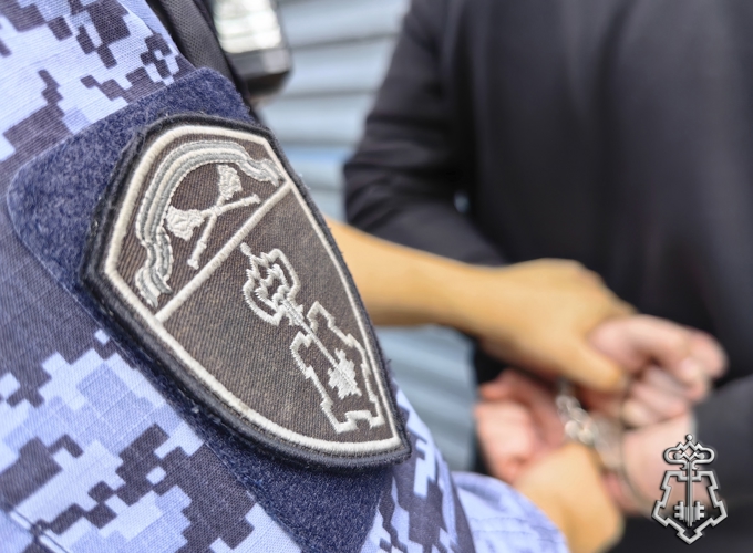 За неделю в Тульской области сотрудники Росгвардии пресекли 28 административных правонарушений